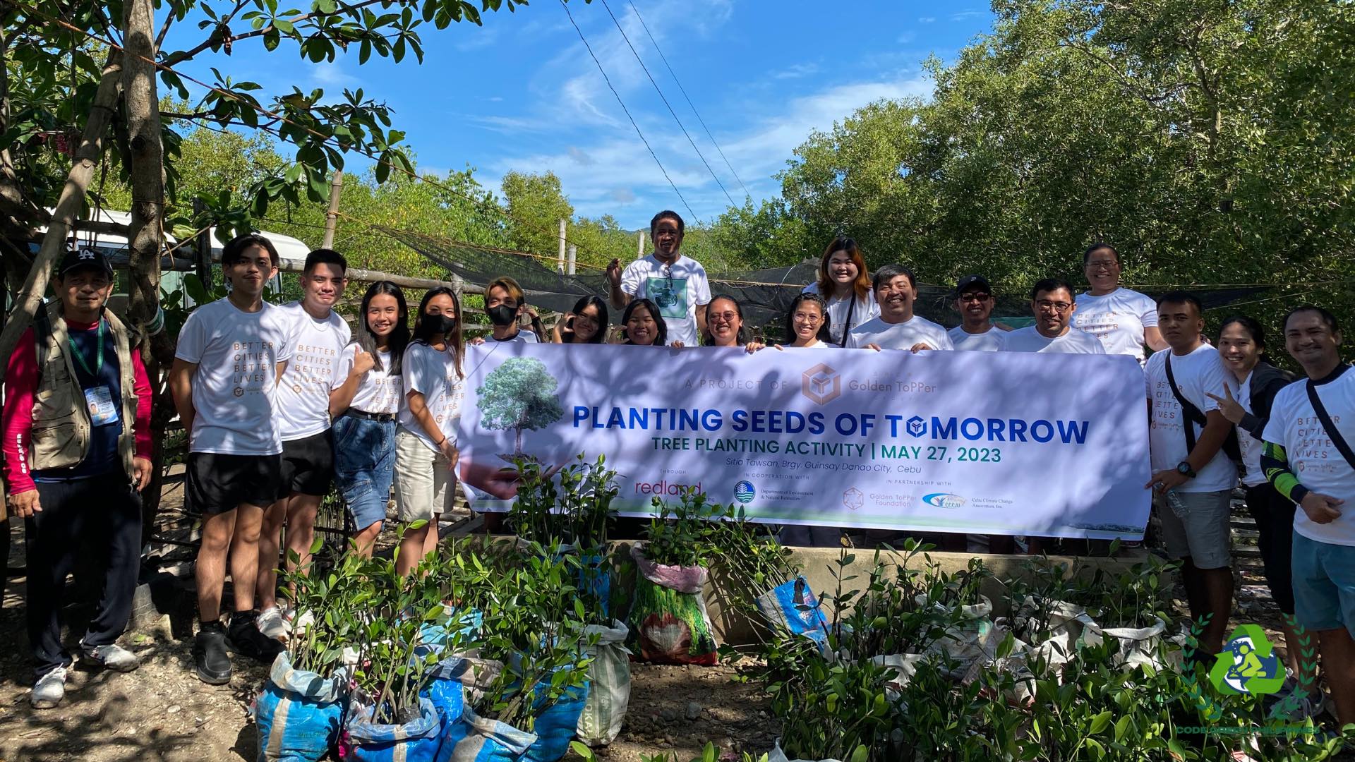 Golden Topper Plants Seeds of Tomorrow